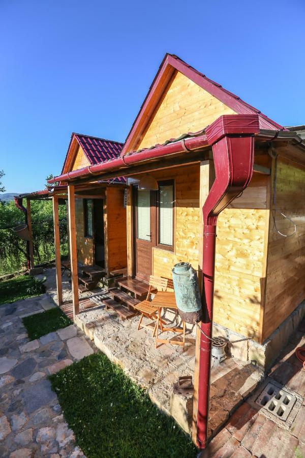 Bukhriani Villa Kutaisi Bagian luar foto