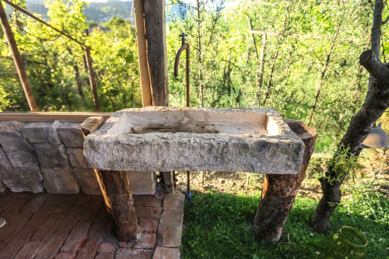 Bukhriani Villa Kutaisi Bagian luar foto