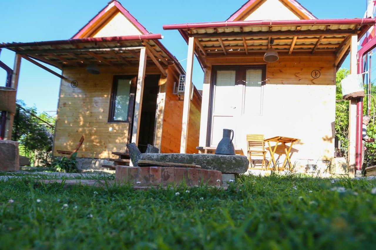 Bukhriani Villa Kutaisi Bagian luar foto